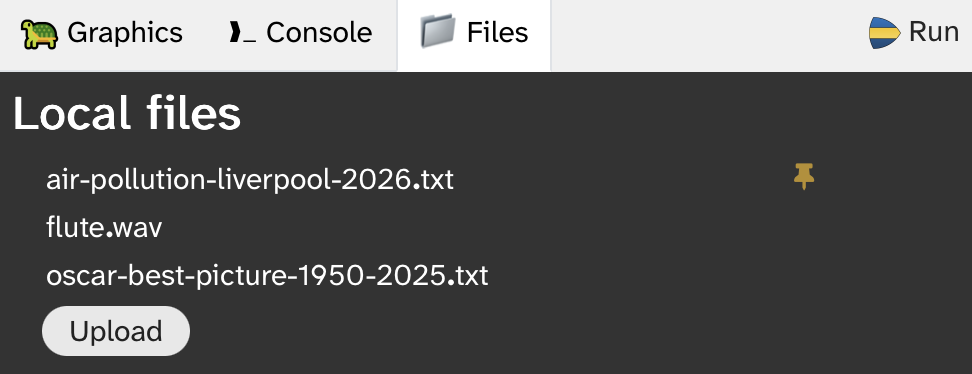 Screenshot of a pinned file
